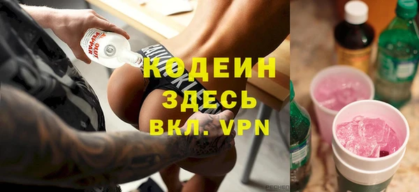 прущие крисы Инта
