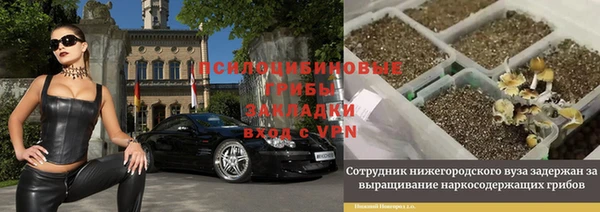 прущие крисы Инта