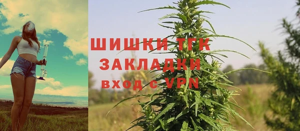 прущие крисы Инта