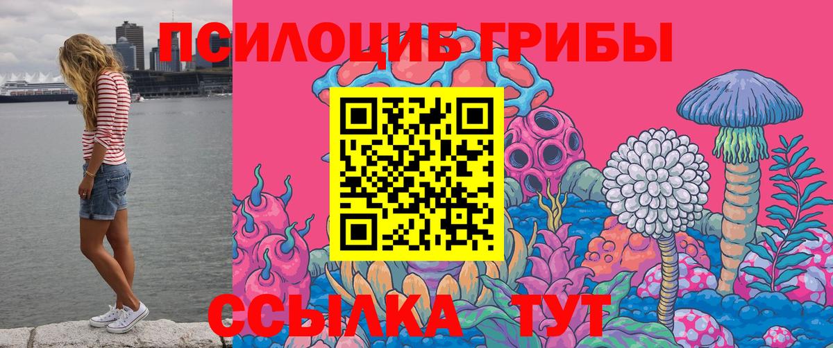 Псилоцибиновые грибы Psilocybe Ишимбай