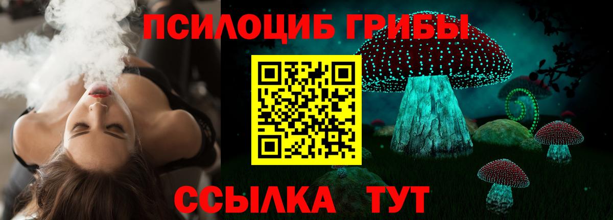 Псилоцибиновые грибы Psilocybine cubensis  как найти закладки  Ишимбай  Вход с VPN 